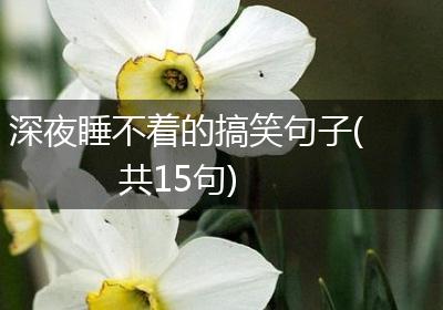 深夜睡不着的搞笑句子(共15句)