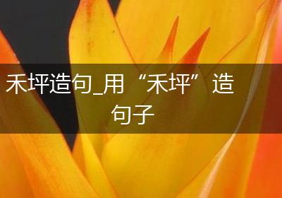 禾坪造句_用“禾坪”造句子