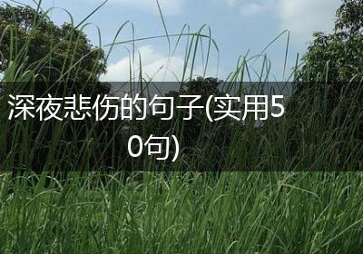 深夜悲伤的句子(实用50句)