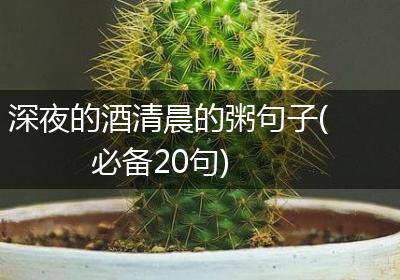 深夜的酒清晨的粥句子(必备20句)