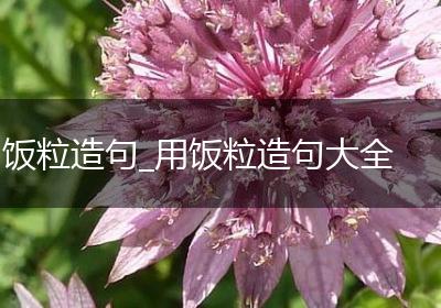 饭粒造句_用饭粒造句大全