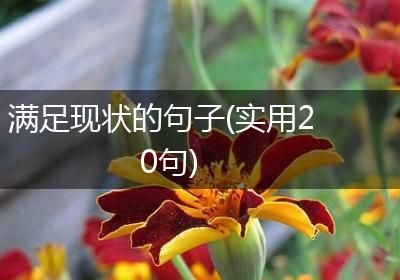 满足现状的句子(实用20句)