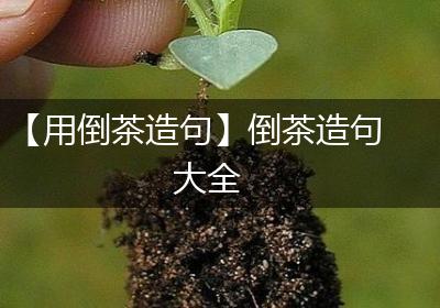 【用倒茶造句】倒茶造句大全