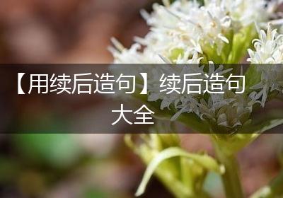 【用续后造句】续后造句大全