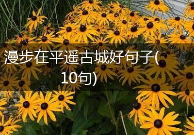 漫步在平遥古城好句子(10句)