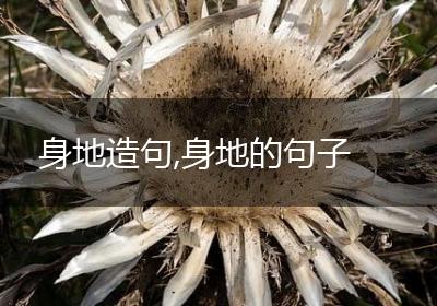 身地造句,身地的句子