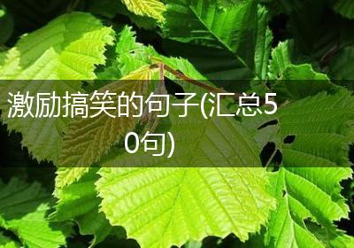 激励搞笑的句子(汇总50句)