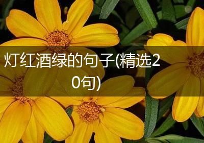 灯红酒绿的句子(精选20句)