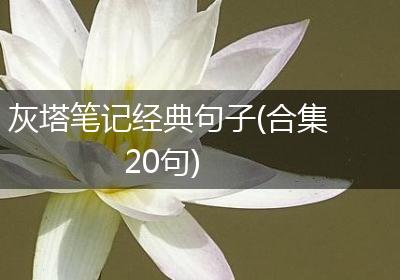 灰塔笔记经典句子(合集20句)