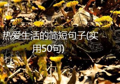 热爱生活的简短句子(实用50句)