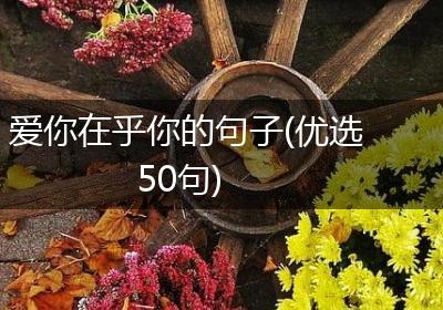爱你在乎你的句子(优选50句)