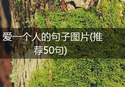 爱一个人的句子图片(推荐50句)