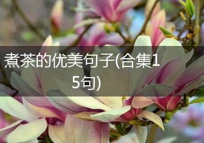 煮茶的优美句子(合集15句)