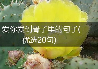爱你爱到骨子里的句子(优选20句)