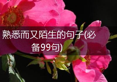 熟悉而又陌生的句子(必备99句)