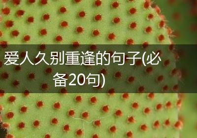 爱人久别重逢的句子(必备20句)