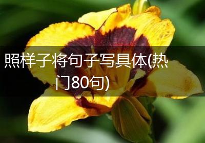 照样子将句子写具体(热门80句)