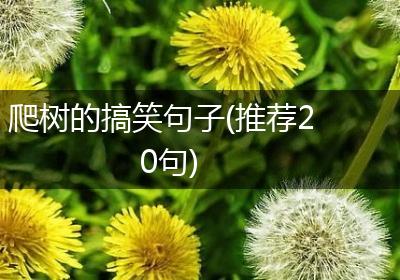 爬树的搞笑句子(推荐20句)