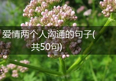 爱情两个人沟通的句子(共50句)
