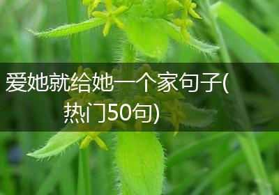 爱她就给她一个家句子(热门50句)