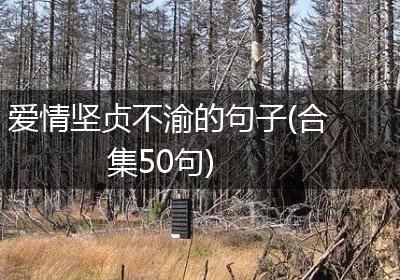 爱情坚贞不渝的句子(合集50句)
