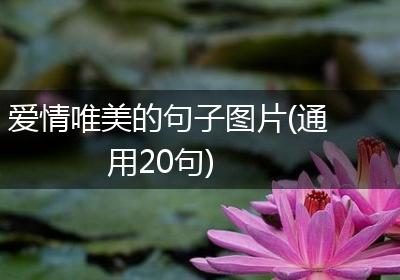 爱情唯美的句子图片(通用20句)