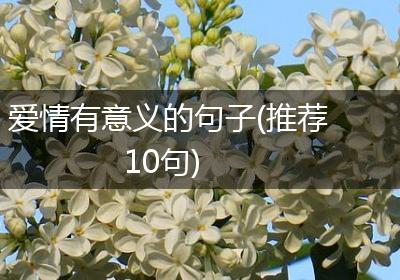 爱情有意义的句子(推荐10句)