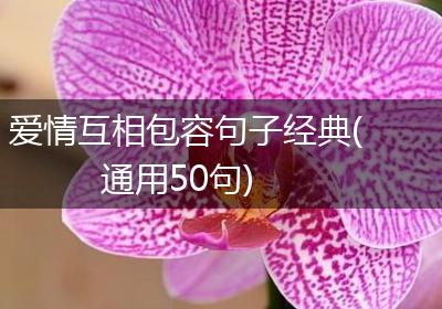 爱情互相包容句子经典(通用50句)