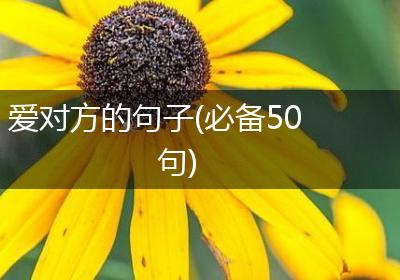 爱对方的句子(必备50句)