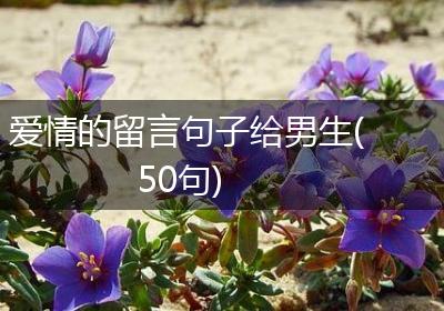 爱情的留言句子给男生(50句)