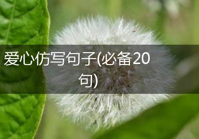 爱心仿写句子(必备20句)