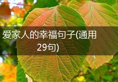 爱家人的幸福句子(通用29句)