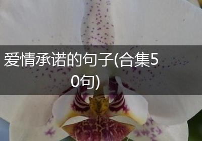 爱情承诺的句子(合集50句)