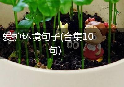 爱护环境句子(合集10句)