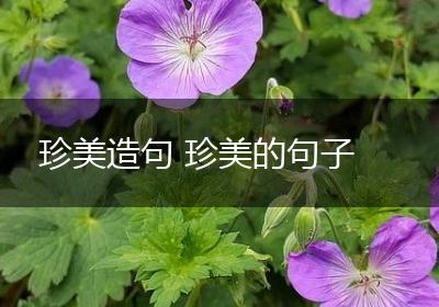 珍美造句 珍美的句子