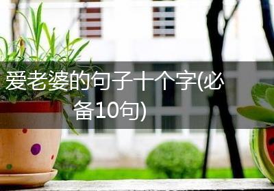 爱老婆的句子十个字(必备10句)