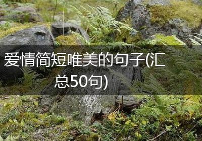 爱情简短唯美的句子(汇总50句)