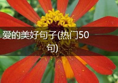 爱的美好句子(热门50句)