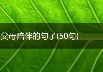 父母陪伴的句子(50句)