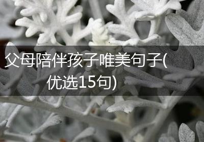 父母陪伴孩子唯美句子(优选15句)