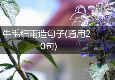 牛毛细雨造句子(通用20句)