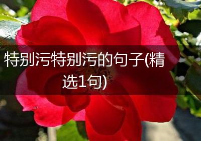 特别污特别污的句子(精选1句)