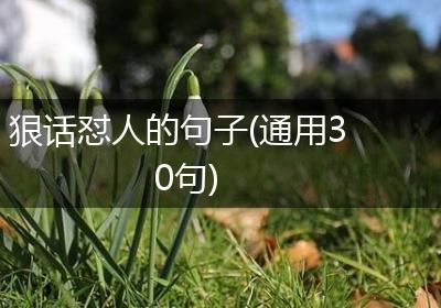 狠话怼人的句子(通用30句)