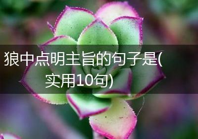 狼中点明主旨的句子是(实用10句)