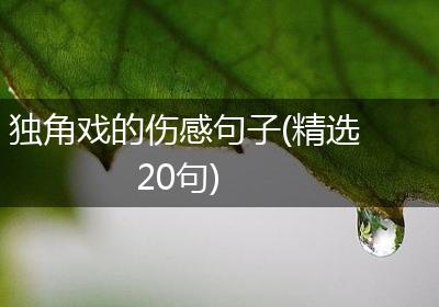 独角戏的伤感句子(精选20句)