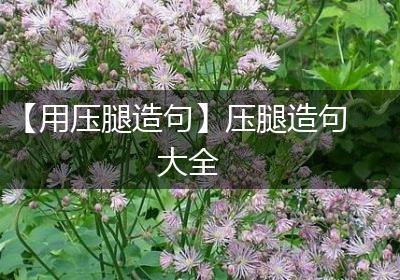 【用压腿造句】压腿造句大全