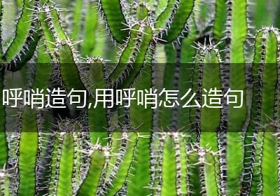 呼哨造句,用呼哨怎么造句