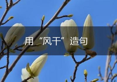 用“风干”造句