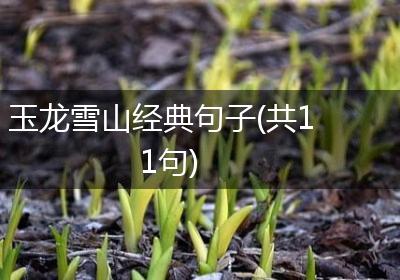 玉龙雪山经典句子(共11句)