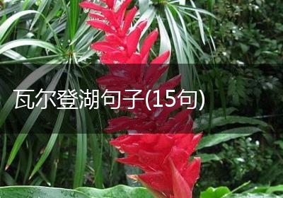 瓦尔登湖句子(15句)